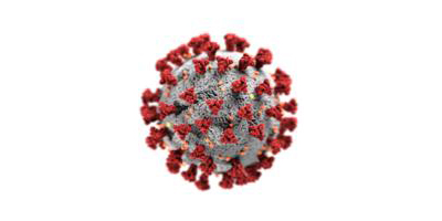 Covid virus