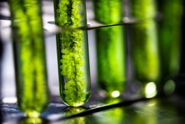 Bioengineering