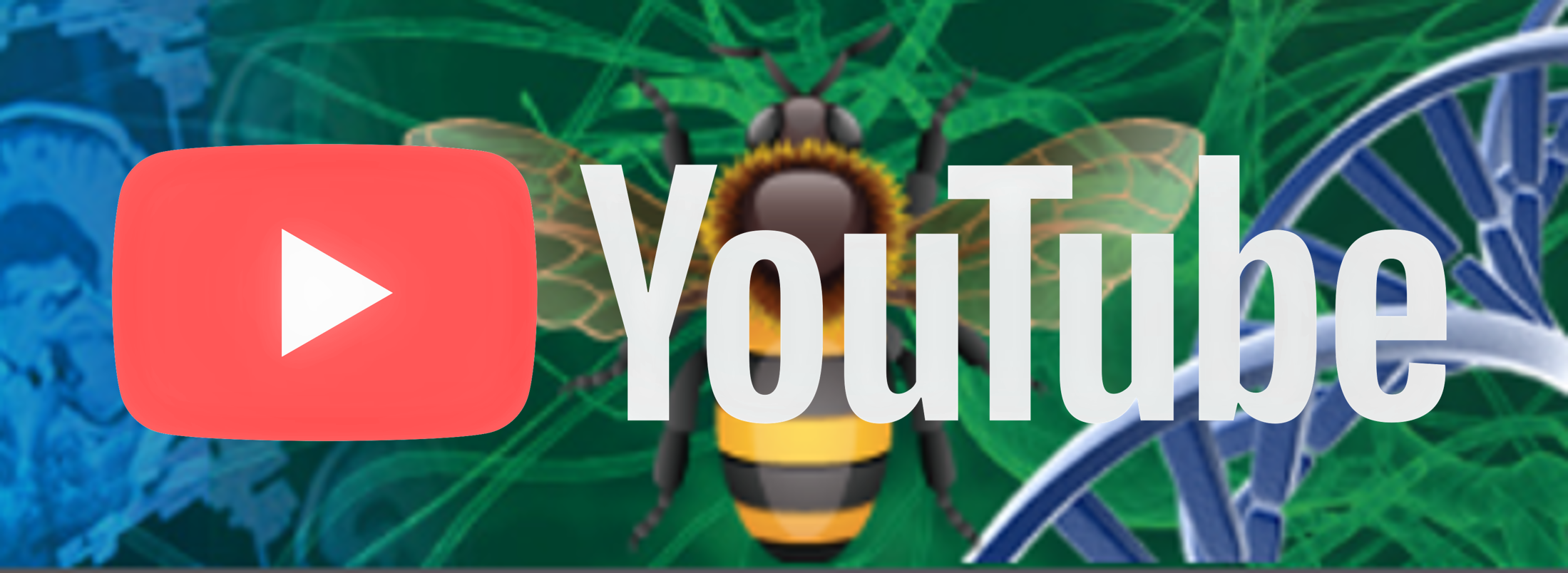 YouTube Consortium graphic
